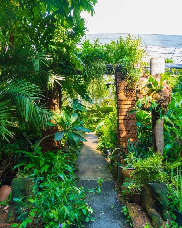 Neu gestalteter mediterraner Garten mit Palmen und Natursteinweg