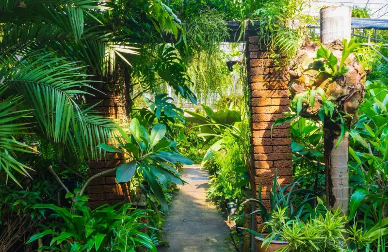 Neu gestalteter mediterraner Garten mit Palmen und Natursteinweg