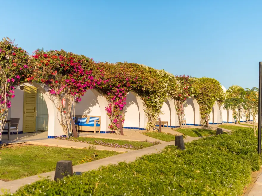 Terrasse mit Bougainvillea, Pergola und Sitzbank