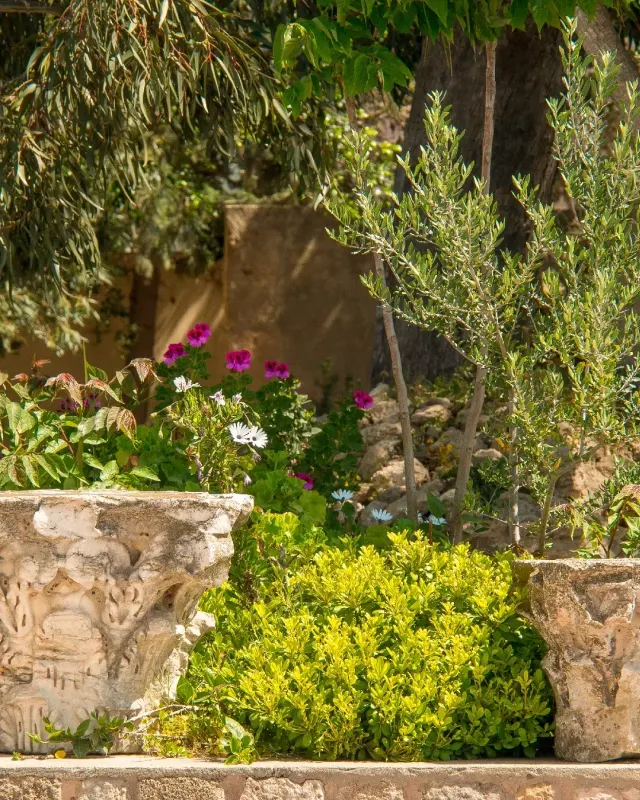 Gartenanlage mit blühender Bougainvillea an weißen Bögen